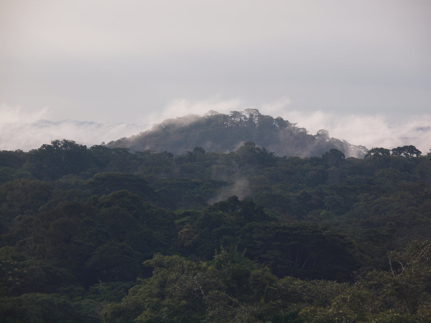 Biodiversity Conservation