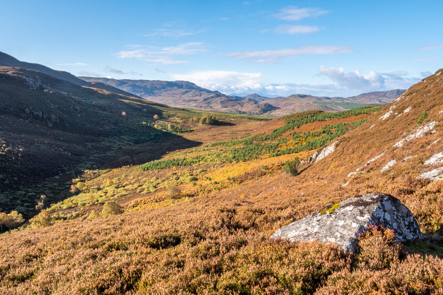 UK Nature Restoration