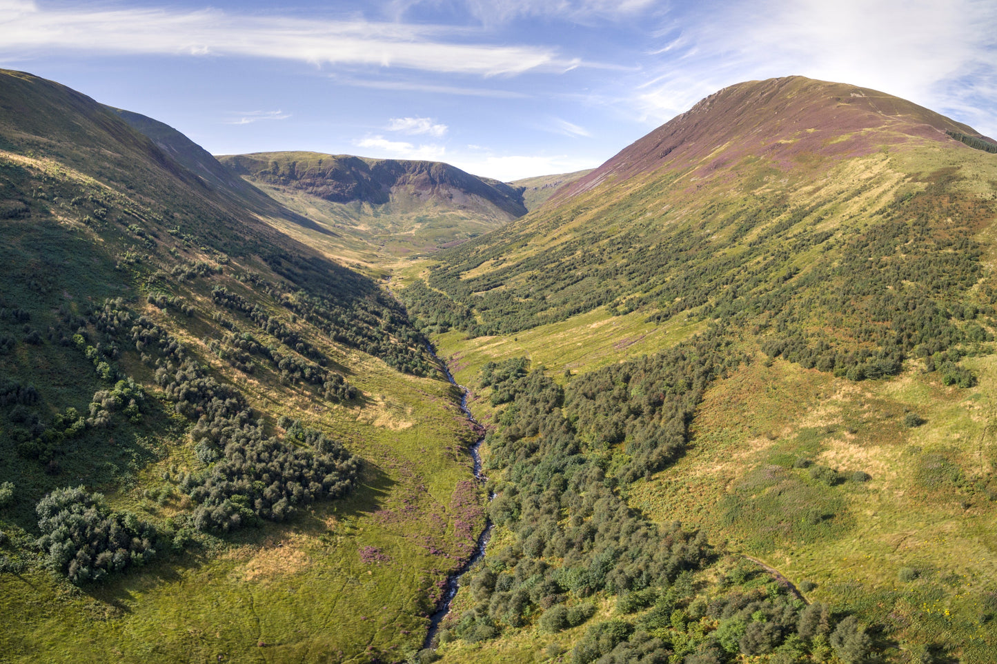 UK Nature Restoration