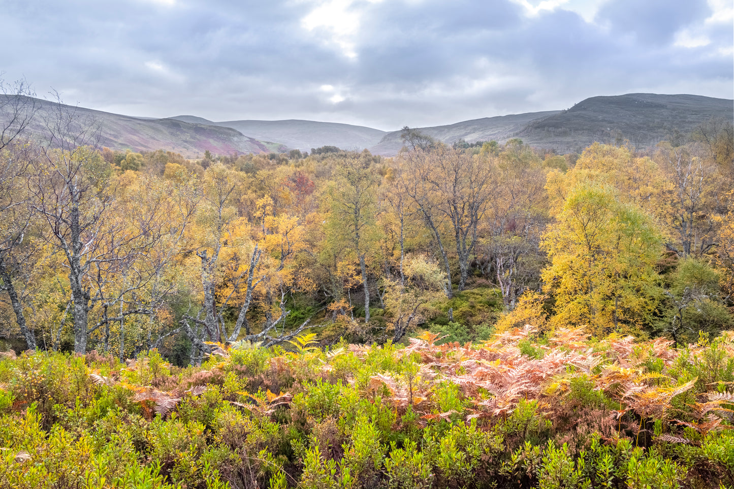 UK Nature Restoration